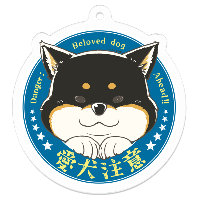 S（約50 x 50 mm）