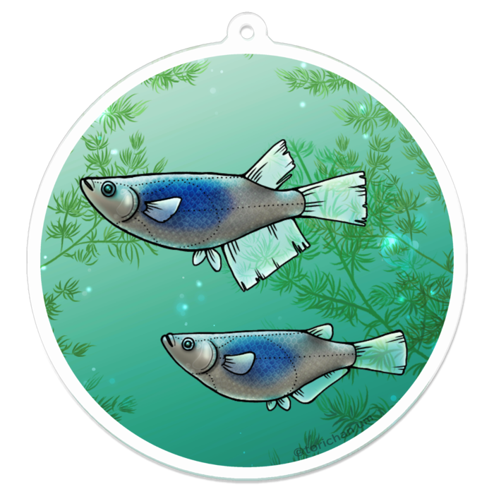 深海　ー　70 x 70㍉／コーティングなし