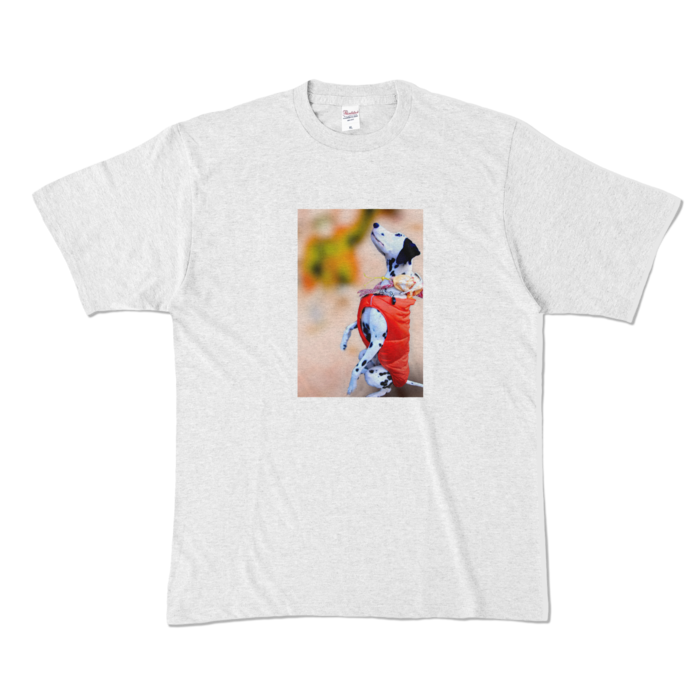 カラーTシャツ - XL - アッシュ (淡色)