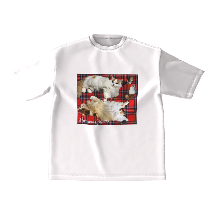 ビッグシルエットTシャツ - M - 両面