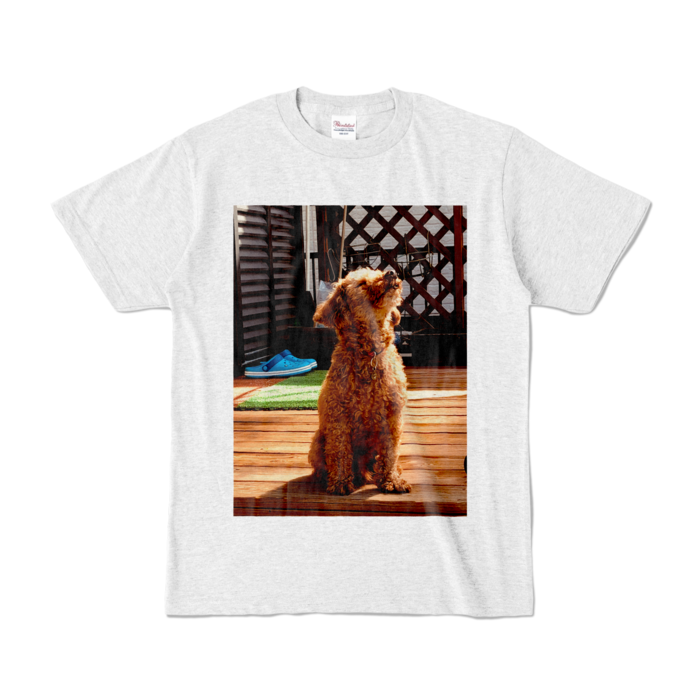 カラーTシャツ - S - アッシュ (淡色)