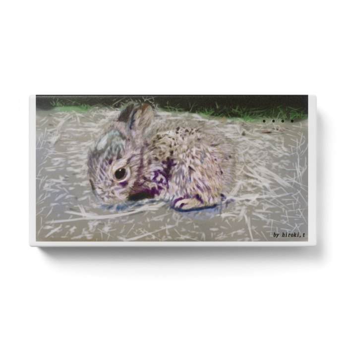 モバイルバッテリー - 123 x 65 (mm)