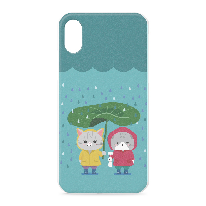iPhone XS / X