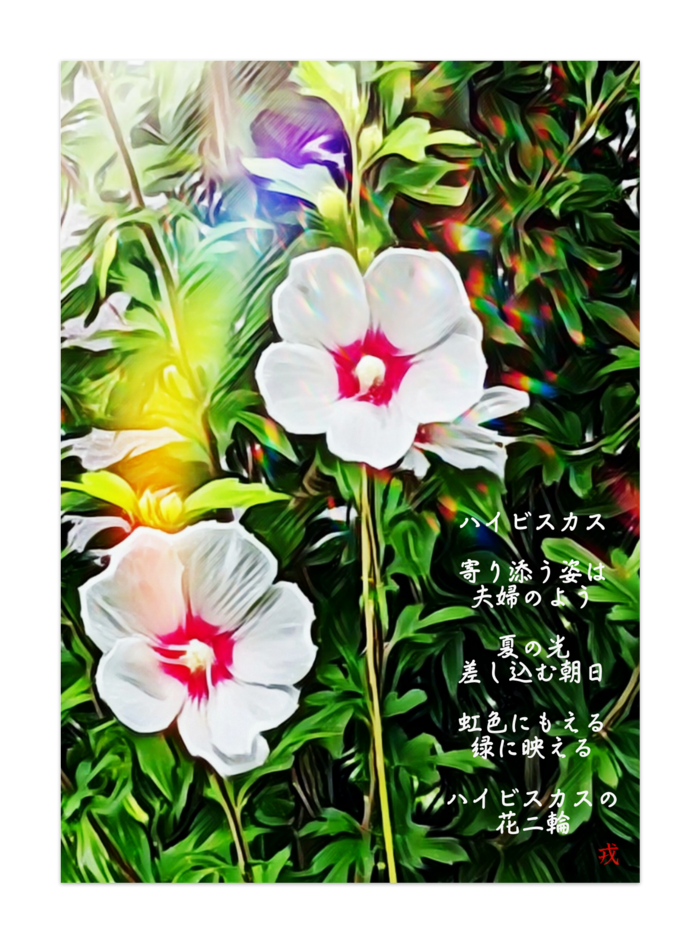 A 195 路傍の花 ハイビスカス Roadside Flower Hibiscus ポスター 半光沢 Gallerygai Booth