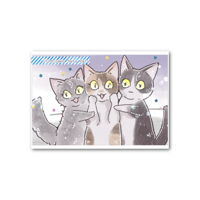 フォト風カード - 横 - 両面