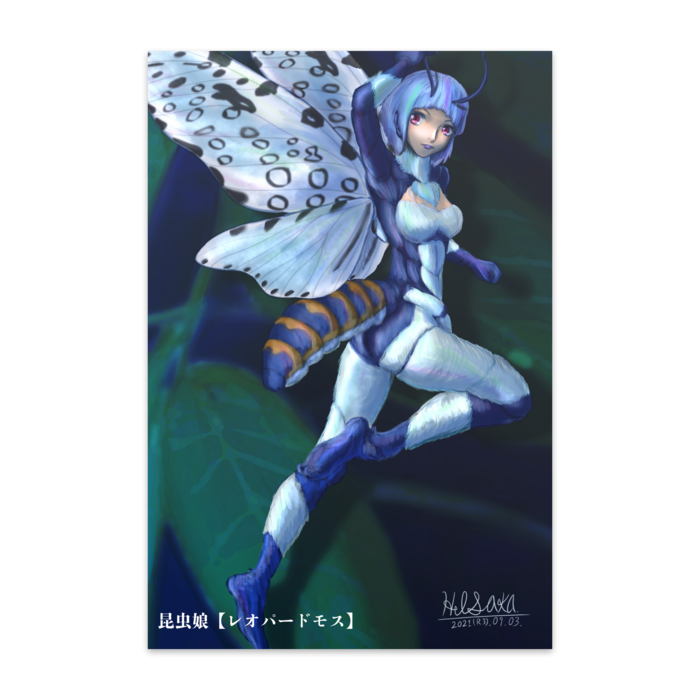 ポストカード(10枚セット) - ヴァンヌーボVGスノーホワイト195kg