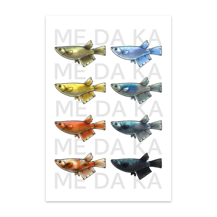 ME DA KA　(10枚組) - マットコート220kg