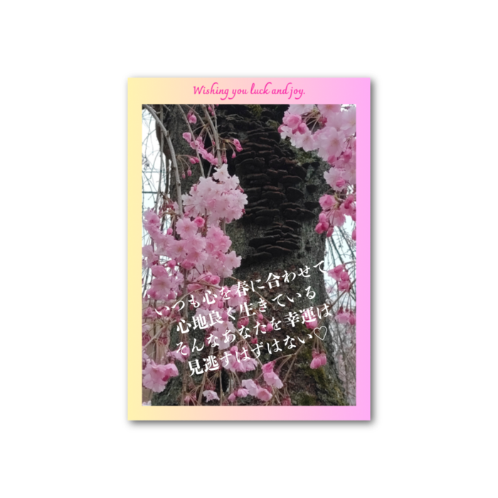 フォト風カード - 縦 - 両面