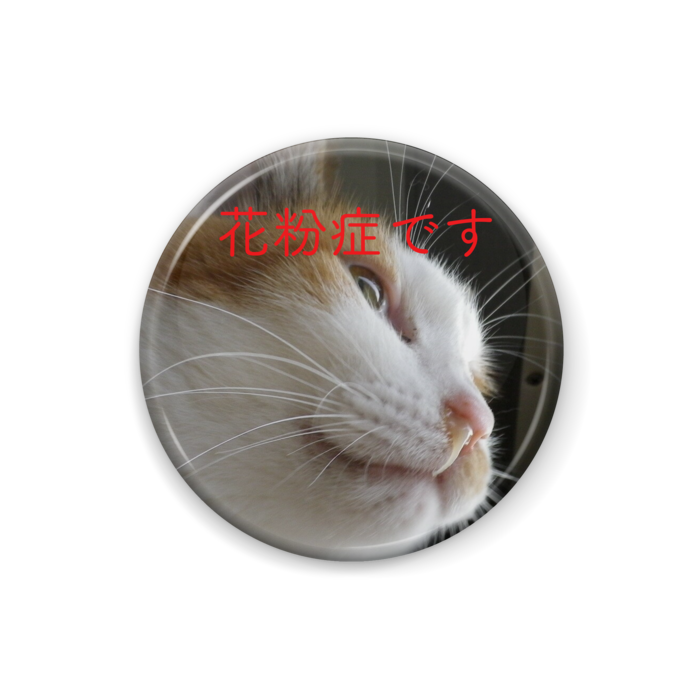 缶バッジ - 25mm