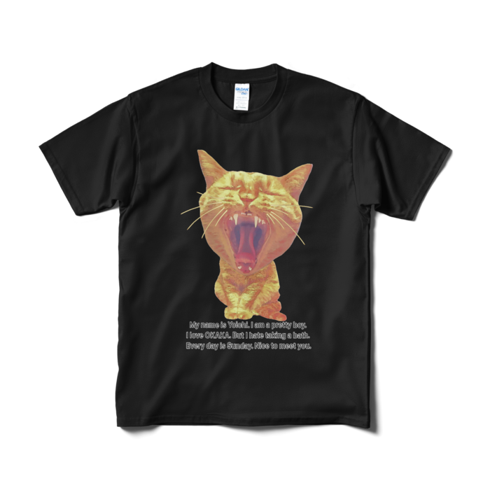 Tシャツ(短納期) - M - ブラック