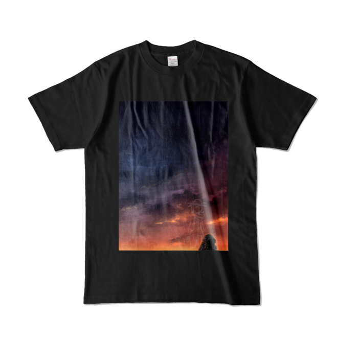 カラーTシャツ - L - ブラック (濃色)