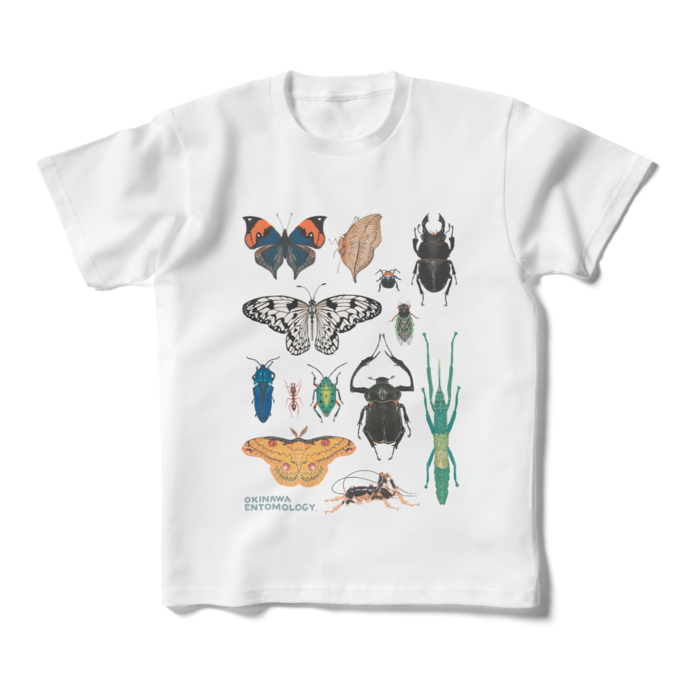 キッズTシャツ - 160cm (XS) - 正面