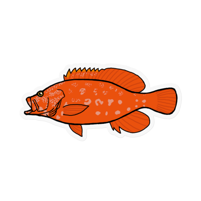 ステッカー - 100 x 100 (mm)