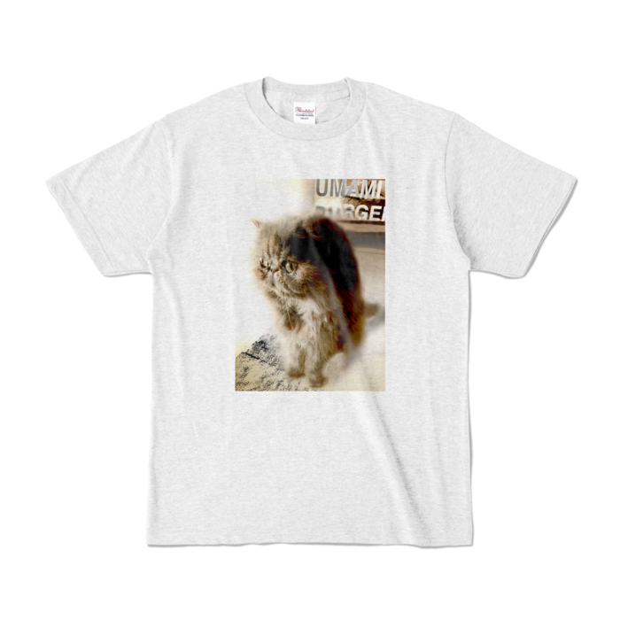 カラーTシャツ - S - アッシュ (淡色)