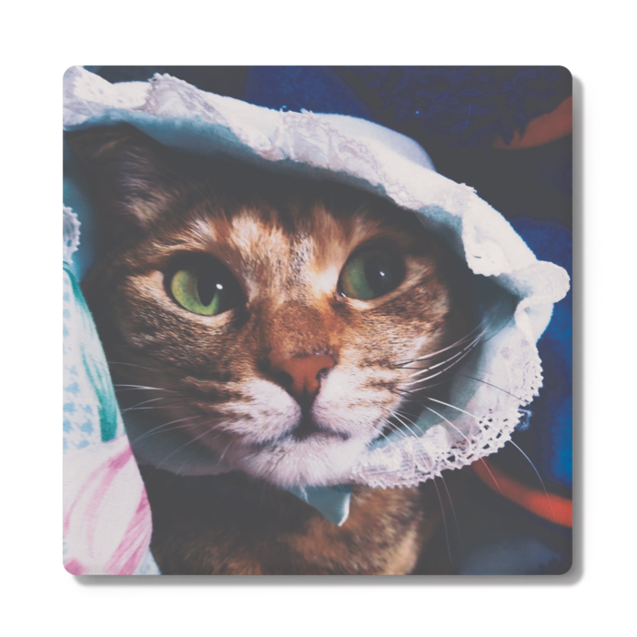 お嬢様プリピのコースター 猫雑貨さんちこ Booth