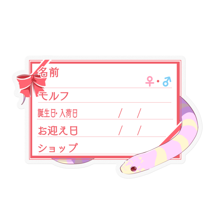 【🐍お名前ステッカー】カリキン(アルビノバンデット) ‐リボン/ピンク