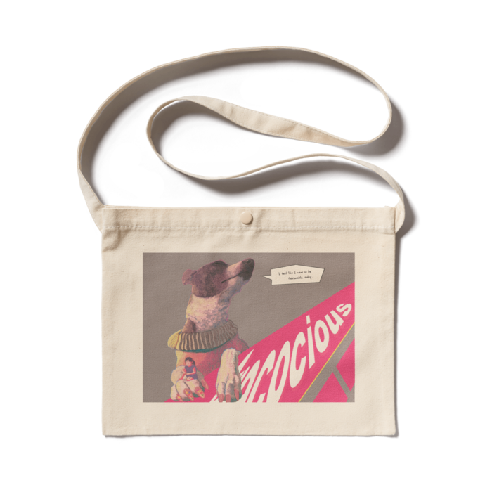 サコッシュ - 300 x 230 (mm)