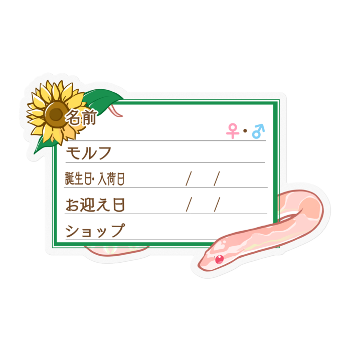 【🐍お名前ステッカー】コーンスネーク(サーモンスノー) - ひまわり