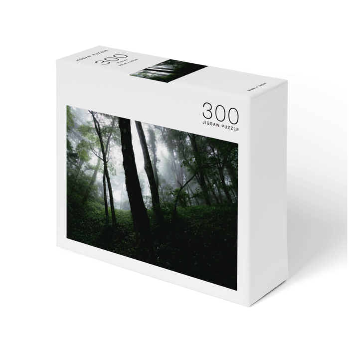 霧の立ち込むブナの森