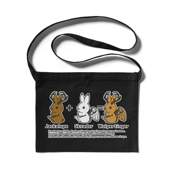 サコッシュ（ブラック） - 300 x 230 (mm)