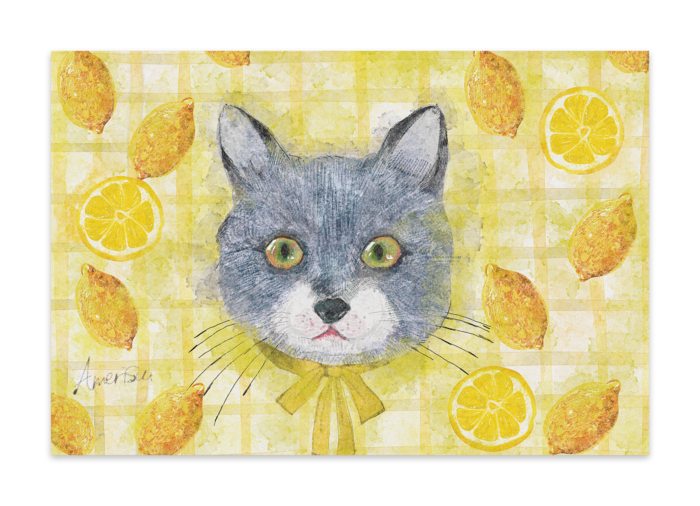 ポストカード(10セット) - マットコート220kg