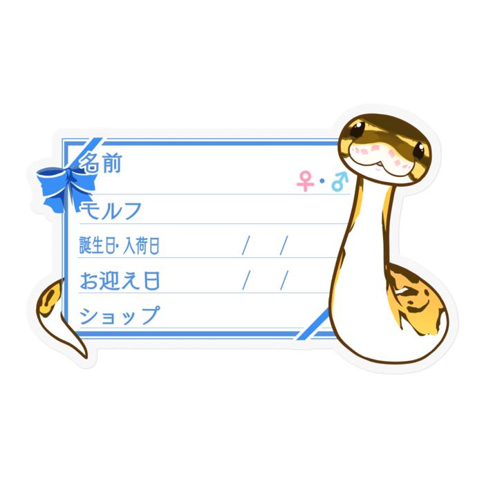【🐍お名前ステッカー】ボールパイソン(パイボール) ‐リボン/ブルー
