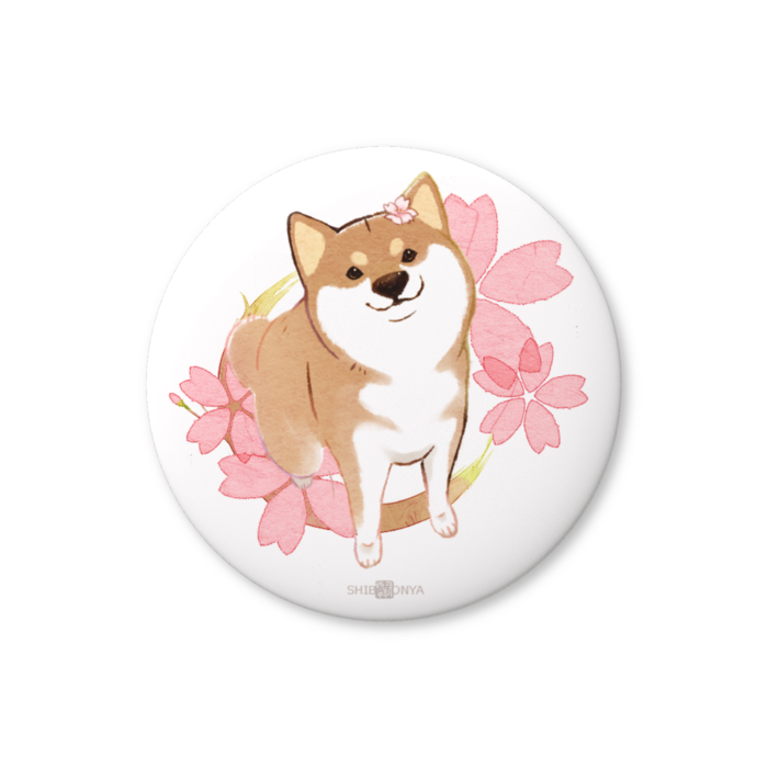 柴犬さんと花便り缶ﾊﾞｯﾁ -桜・卯月(4月)-