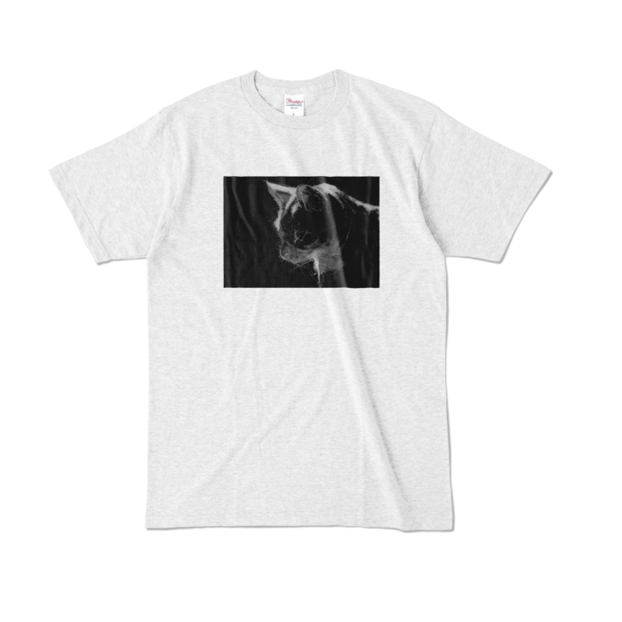 カラーTシャツ - L - アッシュ (淡色)