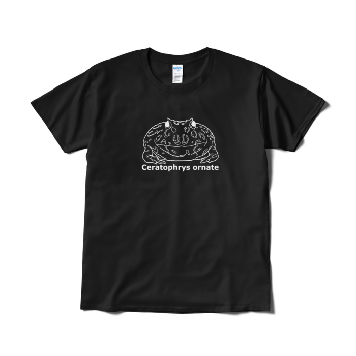 Tシャツ(短納期) - L - ブラック