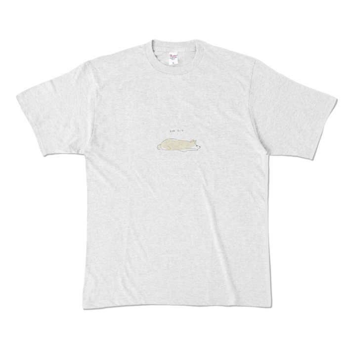 カラーTシャツ - XL - アッシュ （淡色）