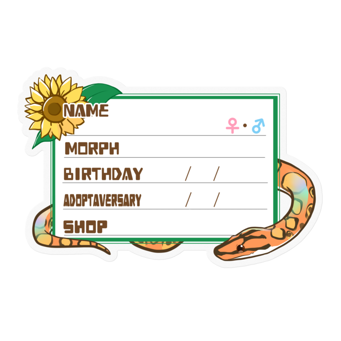 【🐍お名前ステッカー】ブラニジ(ノーマル) ‐ひまわり(英語)