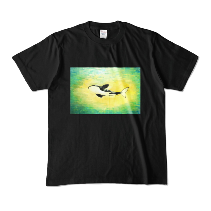 カラーTシャツ - M - ブラック (濃色)