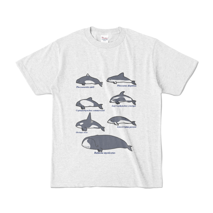 カラーTシャツ - S - アッシュ (淡色)