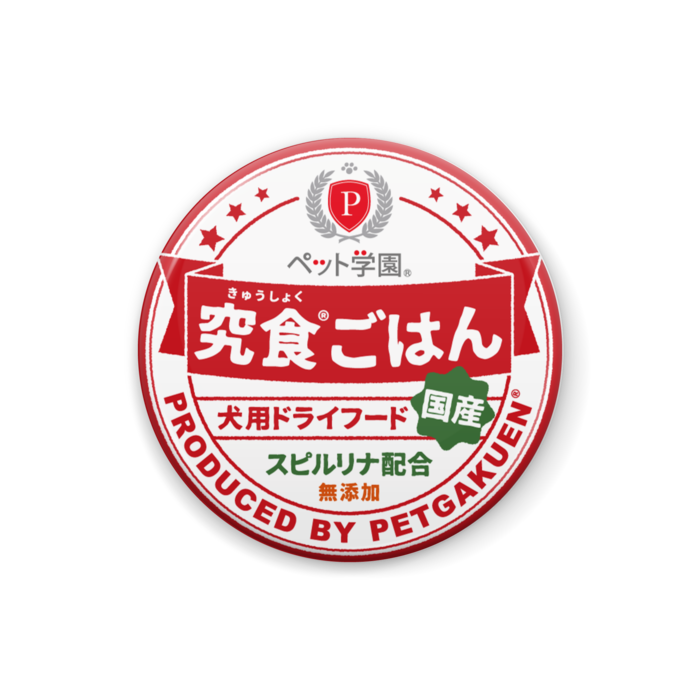 缶バッジ - 25mm
