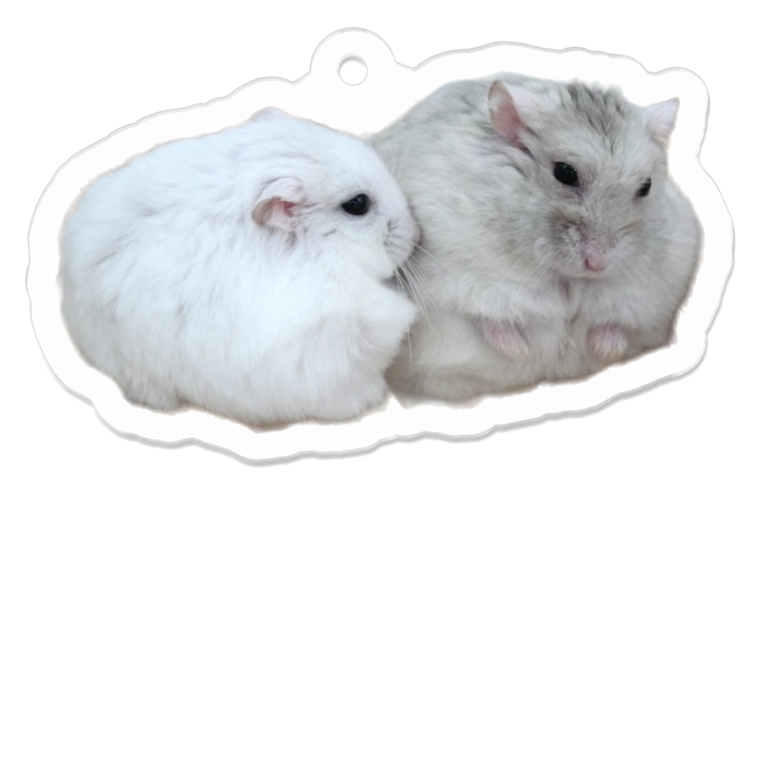 アクリルキーホルダー（コーティング） - 50 x 50 (mm)