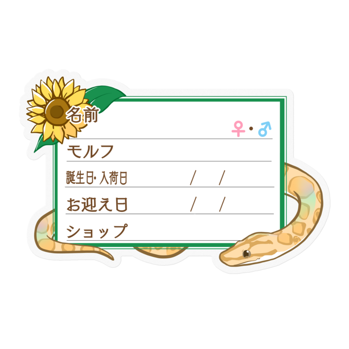 【🐍お名前ステッカー】コロニジ(パラディグマ) ‐ひまわり