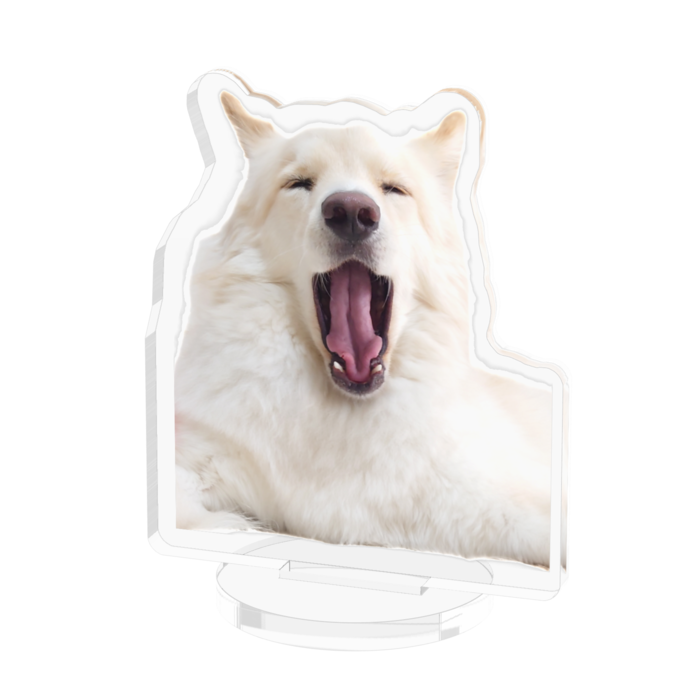 アクリルフィギュア - 50x50mm