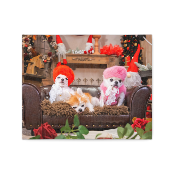 キャンバス - F3(2)