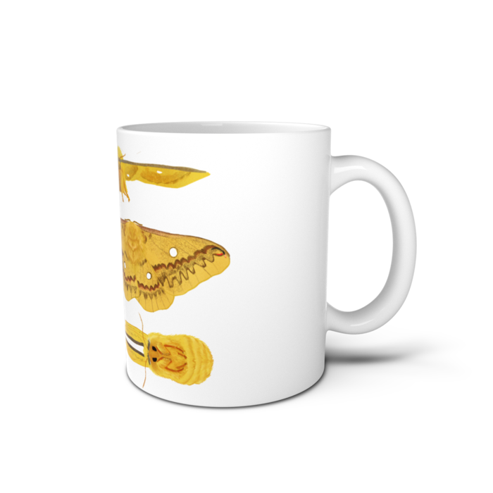 マグカップ - 直径 8 cm / 高さ 9.5 cm