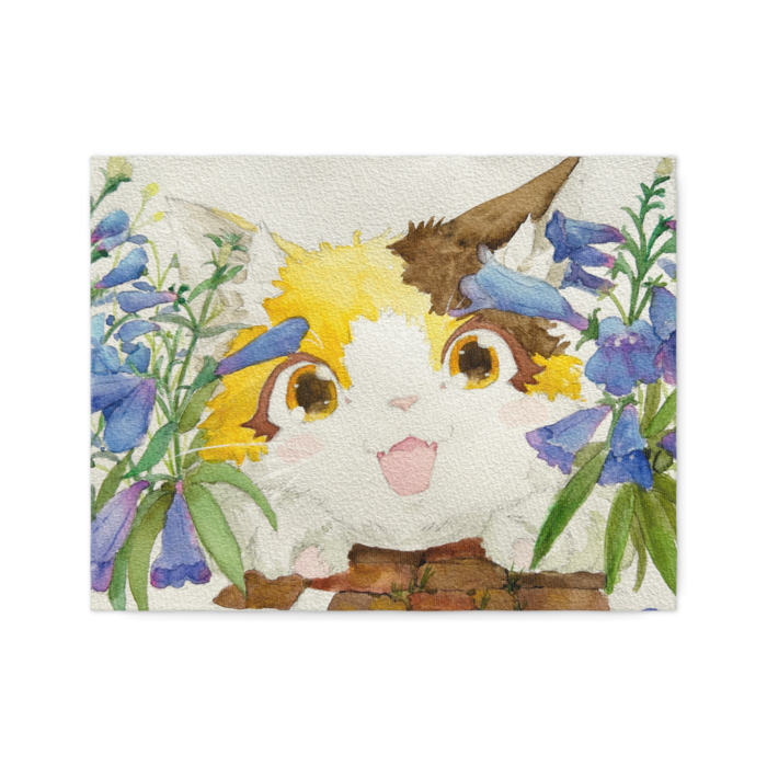 キャンバス - F6