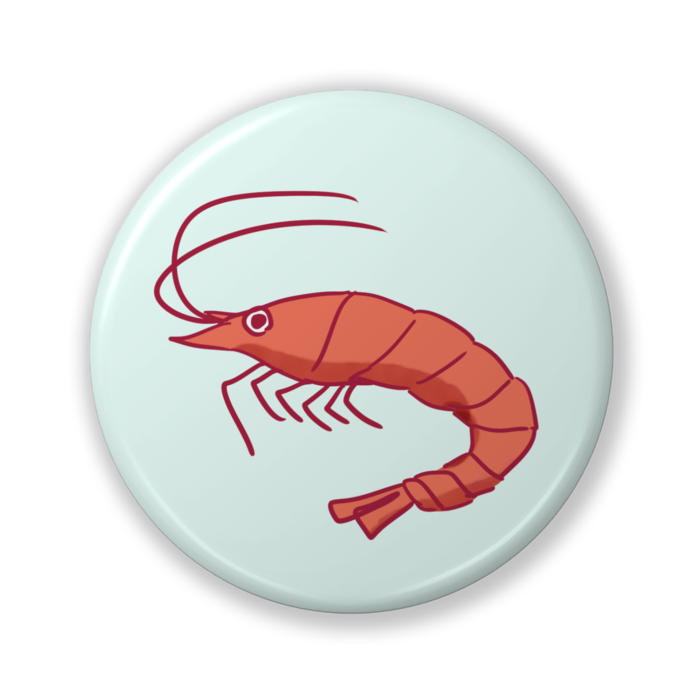 缶バッジ（バリュー） - 32mm