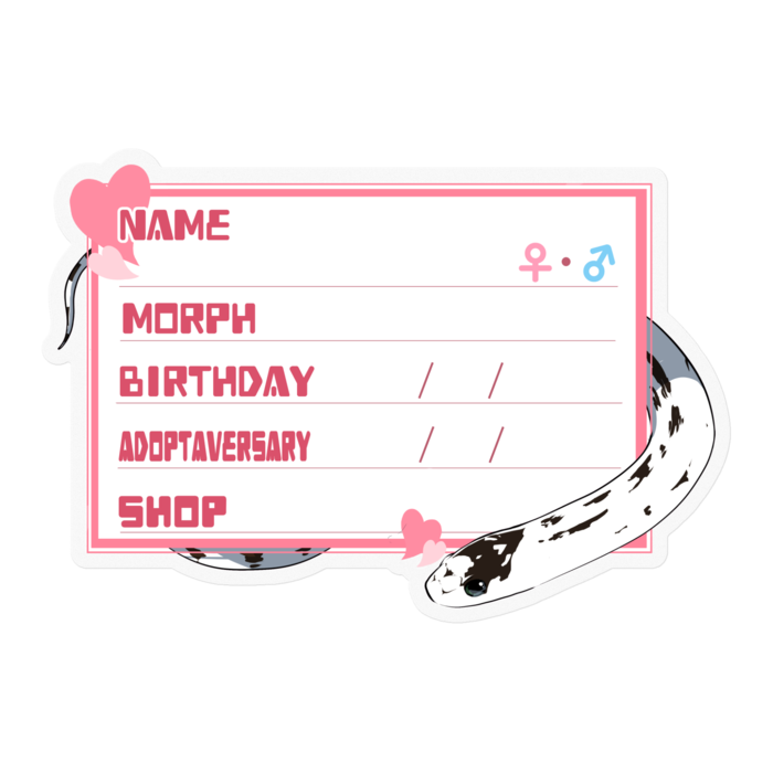 【🐍お名前ステッカー】カリキン(ハイホワイト) ‐ ハート／ピンク(英語)