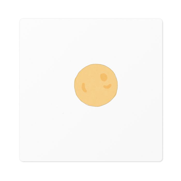 ステッカー - 100 x 100 (mm)