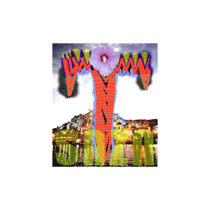 ICカードステッカー - 約85.7x53.9(mm)