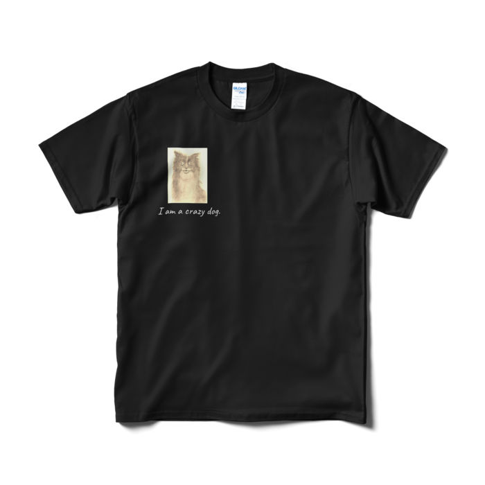 Tシャツ（短納期） - M - ブラック