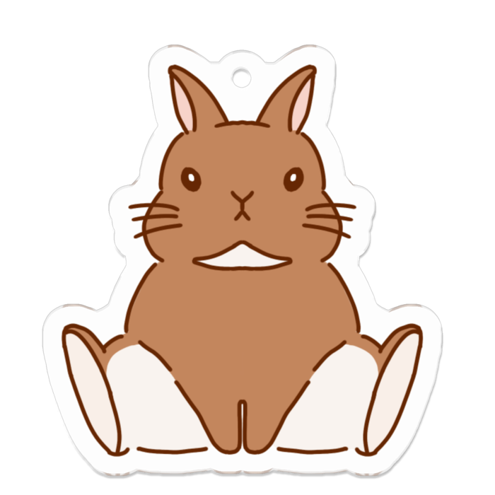 アクリルキーホルダー - 50 x 50 (mm)