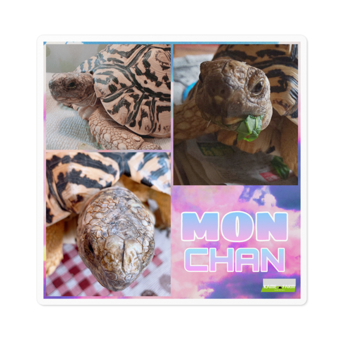 ステッカー - 100 x 100 (mm)