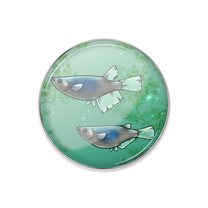 深海