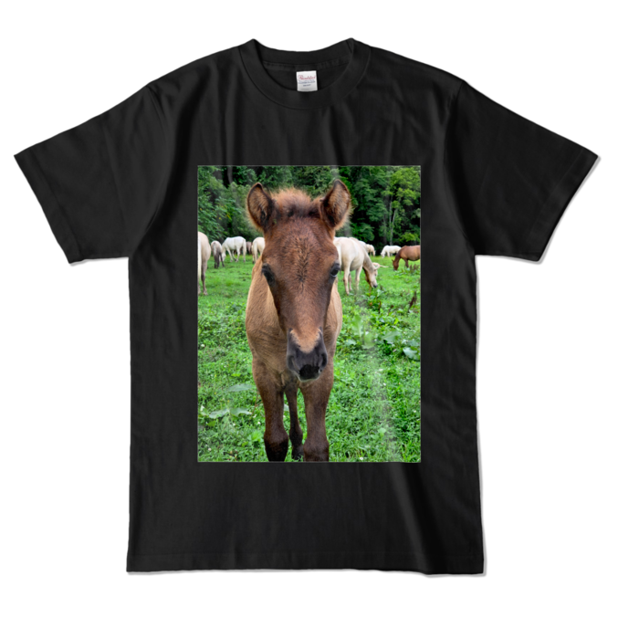 カラーTシャツ - L - ブラック (濃色)