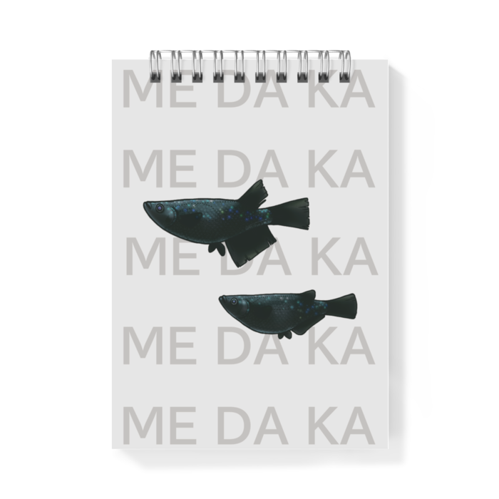 ブラックダイヤ　ー　A6